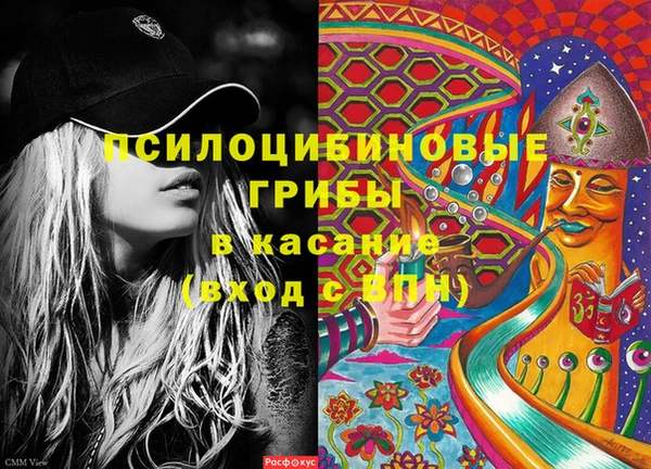 кристаллы Ельня