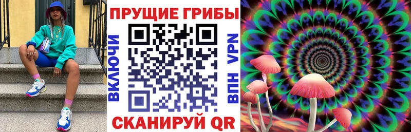 Галлюциногенные грибы прущие грибы Кущёвская